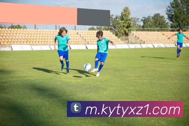 开云体育APP下载APP 封面图